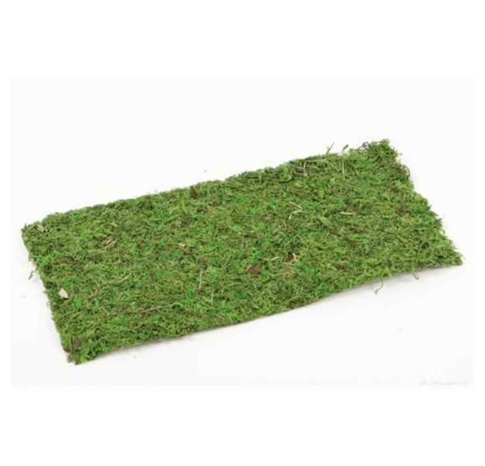 HBX Hängedekoration Asia Moos - Dekchen - rechteckig - ca. 38 x 18 cm HBX Hängedekoration Asia Moos - Dekchen - rechteckig - ca. 38 x 18 cm von HBX