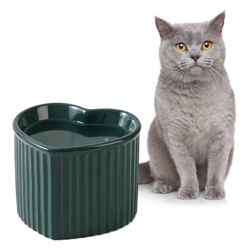 Futternapf Katze Erhöht Wassernapf Katzen - Katzennapf Keramik - Hoher Fressnapf Katze Anti Erbrechen - Katzennäpfe - Katzenschüssel - Katzenfutter Napf - Katzenfressnapf - Trinknapf Katze - 340 ml Futternapf Katze Erhöht Wassernapf Katzen - Katzennapf Keramik - Hoher Fressnapf Katze Anti Erbrechen - Katzennäpfe - Katzenschüssel - Katzenfutter Napf - Katzenfressnapf - Trinknapf Katze - 340 ml von HCHLQLZ