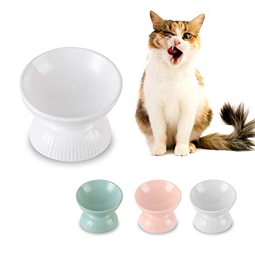 Keramik Katzennapf Erhöht - Anti Erbrechen Fressnapf Mit 15° Neigung - 12,3 cm Futternapf Klein - Näpfe für Katzen Essen Schale - 125 ml Keramik Katzennapf Erhöht - Anti Erbrechen Fressnapf Mit 15° Neigung - 12,3 cm Futternapf Klein - Näpfe für Katzen Essen Schale - 125 ml von HCHLQLZ