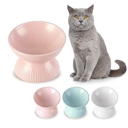 Katzennapf Erhöht Futternapf Katze Keramik - Extra Breiter Fressnapf Katze mit Neigung Design - Napf Katze Hoch Anti Erbrechen - Katzennäpfe Porzellan - Katzenfutter Napf - Futterschale Katze - 260 ml von HCHLQLZ