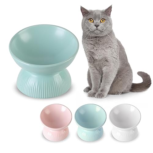 Katzennapf Erhöht Futternapf Katze Keramik - Extra Breiter Fressnapf Katze mit Neigung Design - Napf Katze Hoch Anti Erbrechen - Katzennäpfe Porzellan - Katzenfutter Napf - Futterschale Katze - 260 ml Katzennapf Erhöht Futternapf Katze Keramik - Extra Breiter Fressnapf Katze mit Neigung Design - Napf Katze Hoch Anti Erbrechen - Katzennäpfe Porzellan - Katzenfutter Napf - Futterschale Katze - 260 ml von HCHLQLZ