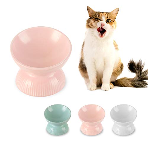 Katzennapf Keramik Futternapf Katze Erhöht - Anti Erbrechen Fressnapf Katze mit 15° Neigung Design - 12,3 cm Katzenfutter Napf Katze Klein - Futternäpfe für Katzen Essen Schale - Katzennäpfe - 125 ml von HCHLQLZ