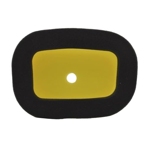 HCPGBGLBTF Motorrad Lufteinlassfilter Reiniger Fit for SUZUKI DR250 Djebel DR 250 1998 1999 2000 2001 2002 2003 2004 2005-2008 Motorrad-Luftfilter HCPGBGLBTF Motorrad Lufteinlassfilter Reiniger Fit for SUZUKI DR250 Djebel DR 250 1998 1999 2000 2001 2002 2003 2004 2005-2008 Motorrad-Luftfilter von HCPGBGLBTF