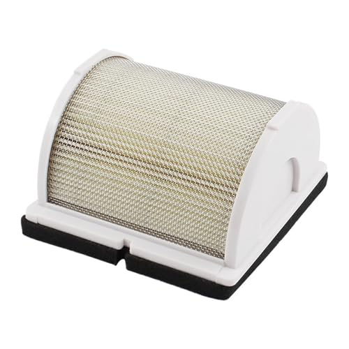 HCPGBGLBTF Motorrad-Luftfilterreiniger passend for Yamaha XP500 TMAX500 XP, for TMAX 500 2001 2002 2003 2004 2005 2006 2007 Motorrad-Luftfilter(B) von HCPGBGLBTF