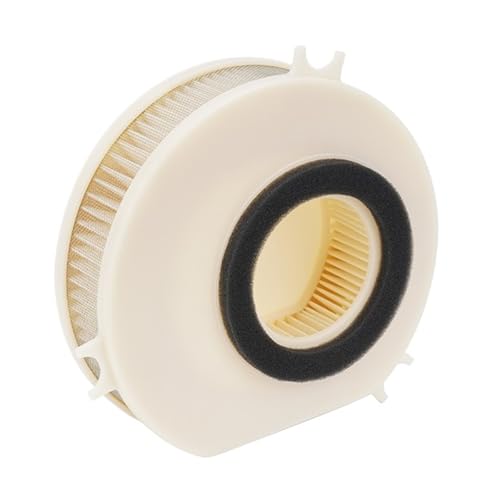 HCPGBGLBTF Motorradteile Luftfilter passend for YAMAHA V-Star 1100 XVS1100 Custom for Flammen XVS1100A XVS1100AT Silverado XVS1100AW Classic Motorrad-Luftfilter HCPGBGLBTF Motorradteile Luftfilter passend for YAMAHA V-Star 1100 XVS1100 Custom for Flammen XVS1100A XVS1100AT Silverado XVS1100AW Classic Motorrad-Luftfilter von HCPGBGLBTF
