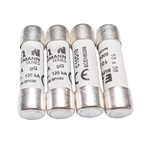1 Stück C10G10/C10G12/C10G16/C10G20/C10G25 500-V-Sicherung(C10G10) von HCVYQMMJ