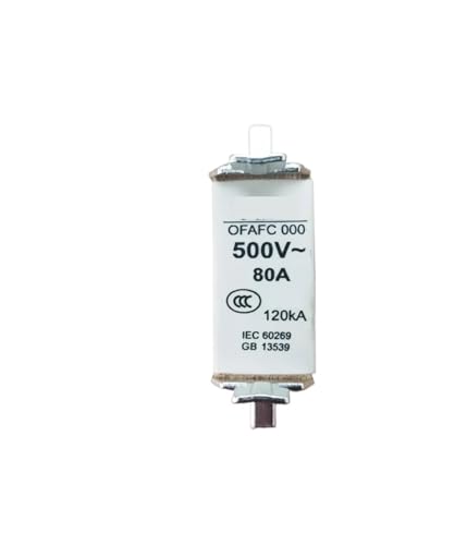 1 stücke Sicherung OFAFC000GG6 10 16 20 25 32 40 50 63 80 100(OFAFC000GG100) von HCVYQMMJ
