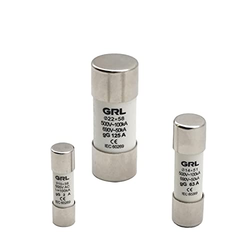 HCVYQMMJ 10 Stück AC 500 V RO17 Fast Blow Keramik-Sicherungsglied RT18-125 22X58 GG Cutout 10A 16A 20A 25A 32A 40A 50A 63A 80A 100A 125A (25V) von HCVYQMMJ