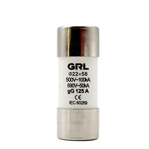 HCVYQMMJ 10 Stück AC 500 V RO17 Fast Blow Keramik-Sicherungsglied RT18-125 22X58 GG Cutout 10A 16A 20A 25A 32A 40A 50A 63A 80A 100A 125A (25V) von HCVYQMMJ