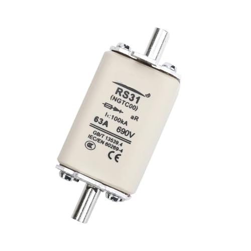 RS31 Sicherung NGTC00 RS31 80A63A100A125A160A200A50A32(RS31-160A 5PCS) von HCVYQMMJ
