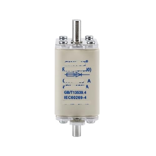 Schnellsicherung RS31 NGTC00-690V32A50A63A80A100A125A160A200A(100A) von HCVYQMMJ
