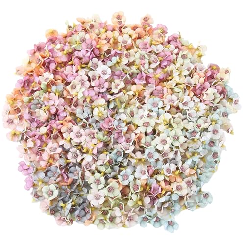 HDBHSBE Gefälschte Blumenköpfe 200pcs 0, 8 x 0, 6 Zoll Seiden Daisy Blumenköpfe mehrfarbige kleine künstliche Blumen DIY gefälschte Gänseblümchen für DIY-Kranzgeschenkhandwerk Accessoires HDBHSBE Gefälschte Blumenköpfe 200pcs 0, 8 x 0, 6 Zoll Seiden Daisy Blumenköpfe mehrfarbige kleine künstliche Blumen DIY gefälschte Gänseblümchen für DIY-Kranzgeschenkhandwerk Accessoires von HDBHSBE