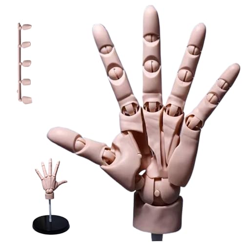 Handmodell 1: 1 artikuliertes Mannequin Handbewegungsgelenk Manikin mit Basis -DIY -PVC von HDBHSBE