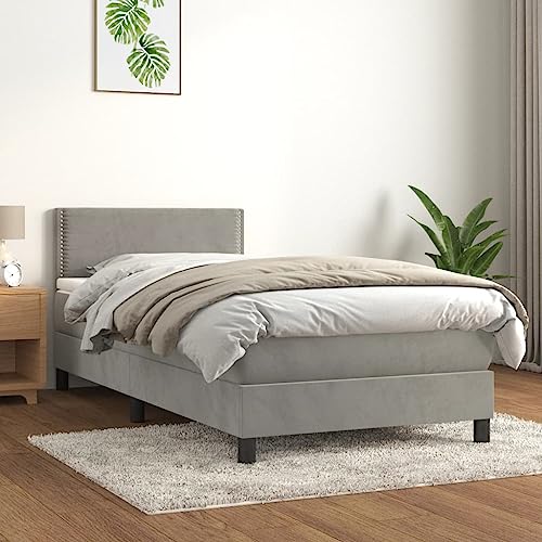 Boxspringbett mit Matratze, hellgrau, Doppel-Samt, Betten und Bettrahmen, 45 kg, Queen-Bett Boxspringbett mit Matratze, hellgrau, Doppel-Samt, Betten und Bettrahmen, 45 kg, Queen-Bett von HDGTDR3SS2865SSSSTT