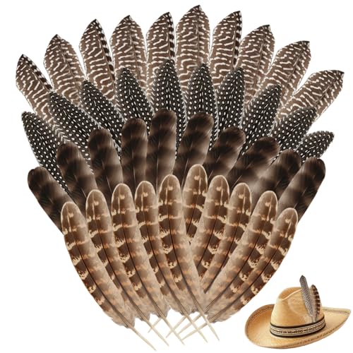 HDHGXUJRD 40 Stück Truthahnfedern, 5,9-7,87 in Federn zum Basteln Fasanenfedern für Kunsthandwerk, 3 Stil Gemischt Bastelfedern für Traumfänger Karneval Kostüm Feder Maske Hochzeit Party Deko von HDHGXUJRD