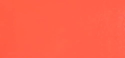 HDK-VERSAND 1 Stück Wachsplatten Uni Grösse 200 x 100 x 0,5 mm (23 Lachs) von HDK-VERSAND