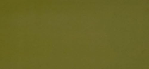HDK-VERSAND 1 Stück Wachsplatten Uni Grösse 200 x 100 x 0,5 mm (60 Kiwi) von HDK-VERSAND