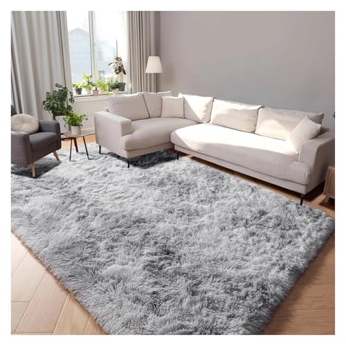 HDKAH Graue Teppiche for Wohnzimmer, Schlafzimmer, weicher, Flauschiger Plüschteppich for Schlafsaal, Klassenzimmer, Heimbüro, Kinderzimmer, Dicker Teppich(Light Gray,80x120cm 31x47in) von HDKAH