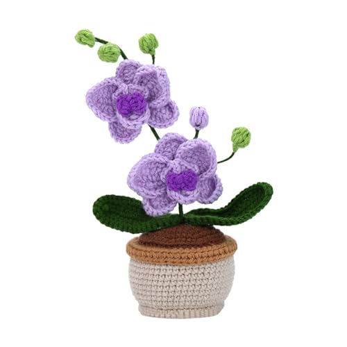 Häkelpflanze Blumenkits Mit Garnhäkeln Haken Häkelnadelstrick Marker Anweisung Häkelstarter von HDOYTXXM