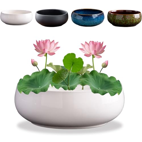 HDQQEU Bonsai Schale Lotusblume Keramik 16cm Blumenschale Lotus Pflanze Topf Bonsai Schüssel Chinesischer Seerose Lotusschalen-Pflanzgefäß Für Hydroponic Schale (Weiß) von HDQQEU