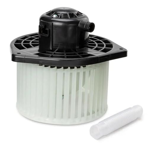 Gebläsemotor der Autoklimaanlage AC Gebläse Motor Montage 7802A217 700239 Fit Für MITSUBISHI LANCER OUTLANDER 2008-2018 Fit Für SPORT 2013-2017 Gebläsemotor Gebläsemotor der Autoklimaanlage AC Gebläse Motor Montage 7802A217 700239 Fit Für MITSUBISHI LANCER OUTLANDER 2008-2018 Fit Für SPORT 2013-2017 Gebläsemotor von HDRTCBU