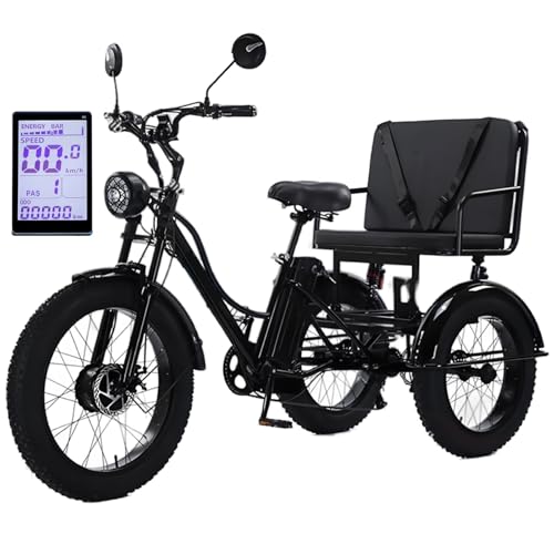 Electric Tricycle with Passenger Seat for Adult, 24 Inch Fat Tire Electric Bicycle Trike Bike, 48v/18ah Removable Battery + LCD Display + Headlight, for City and Mountain Road,Black von HDaspijh