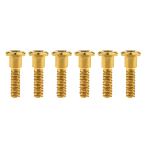 Titan-Schrauben, Motorrad Titanschrauben M8x(20-33) mm 6er Pack Mehrfarbig(Gold,33MM-M8) von HEAGER