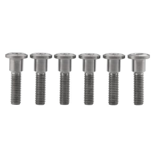 Titan-Schrauben, Motorrad Titanschrauben M8x(20-33) mm 6er Pack Mehrfarbig(Silver,30MM-M8) von HEAGER