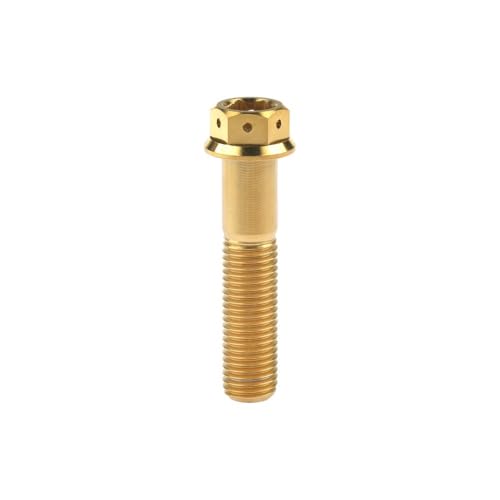 Titan-Schrauben, Titan-Flansch-Sechskantschrauben-Set M10x20-90mm Steigung 1,25/1,5mm for Motorrad-Bremssättel, mehrfarbig(Gold,65MM-1.25P) von HEAGER