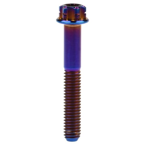 Titan-Schrauben, Titan M6 Torx T30 Flanschschrauben for Motorrad, mehrfarbig, 10–55 mm(Burnt Blue,20MM-M6) von HEAGER