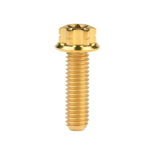 Titan-Schrauben, Titan M6 Torx T30 Flanschschrauben for Motorrad, mehrfarbig, 10–55 mm(Gold,40MM-M6) von HEAGER