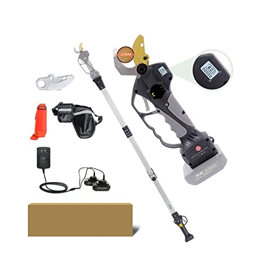 Akku-Elektro-Gartenschere 16,8 V Lithium-Ionen-Astschere Effizienter Obstbaum-Bonsai-Schnitt Äste Cutter Landschaftsbau,Effizientes Schneiden(Shears pole(Box)) von HEALBYBLE