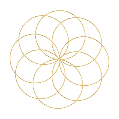 HEALEEP 10 Stück Metallringe für Diy Runde Craft Ringe Durchmesser und Langlebig für Dreamcatcher Makramee und Kreative Bastelprojekte von HEALEEP