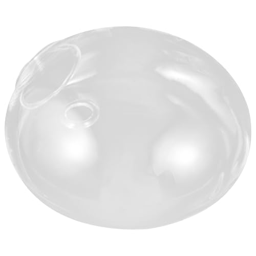 HEALEEP Transparente Wandvase aus Glas für Hydroponische Pflanzen Hängender Pflanzhalter Platzsparender Glasbehälter Stilvolle Dekoration für Wohnzimmer und Büro HEALEEP Transparente Wandvase aus Glas für Hydroponische Pflanzen Hängender Pflanzhalter Platzsparender Glasbehälter Stilvolle Dekoration für Wohnzimmer und Büro von HEALEEP