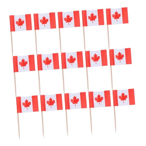 HEALLILY 150 Stück Zahnstocherflaggen Mit Kanada Flagge Mini Cupcake Topper Aus Holzstäbchen – Doppelseitige Lebensmitteletiketten Für Vorspeisen Käse Salate Kuchen von HEALLILY
