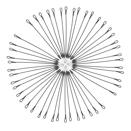 HEALLILY Drahtseile für Kleidung, Schuhe, Hüte, stabile Sicherheitsschlaufen, für Einzelhandel, Supermarkt, Merchandise-Schutz, Schwarz, 100 Stück HEALLILY Drahtseile für Kleidung, Schuhe, Hüte, stabile Sicherheitsschlaufen, für Einzelhandel, Supermarkt, Merchandise-Schutz, Schwarz, 100 Stück von HEALLILY