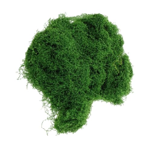 HEALSOPTHY 1 Simuliertes Fadenmoos Künstliche Pflanzen Füller Grünes Moos Für Pflanzen Künstliche Landschaftsdekorationen Simulation Moos Bonsai-moos Falsches Moos Garten Moos Green Polyester HEALSOPTHY 1 Simuliertes Fadenmoos Künstliche Pflanzen Füller Grünes Moos Für Pflanzen Künstliche Landschaftsdekorationen Simulation Moos Bonsai-moos Falsches Moos Garten Moos Green Polyester von HEALSOPTHY