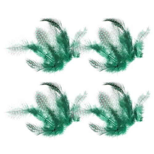 HEALSOPTHY 100stücke Naturfedern Für Dekorative Tierfedern DIY-Federn Zum Basteln Praktisches Zubehör Für Accessoires Für Kleidung Und Schmuck Partydekoration HEALSOPTHY 100stücke Naturfedern Für Dekorative Tierfedern DIY-Federn Zum Basteln Praktisches Zubehör Für Accessoires Für Kleidung Und Schmuck Partydekoration von HEALSOPTHY