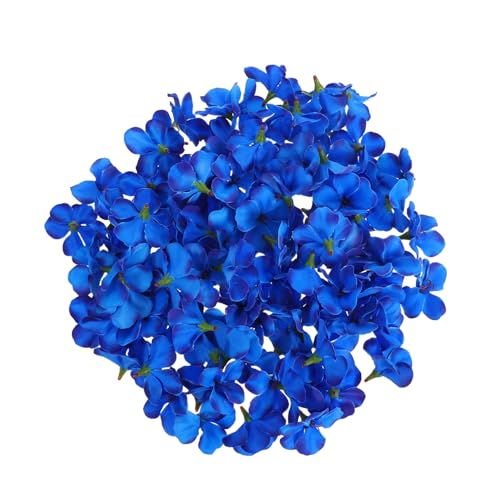 HEALSOPTHY 100 Stück Künstliche Orchideenblütenköpfe Royal Blau Lebensechte Fake Blumen für Hochzeitssträuße DIY Basteln Partydeko Haaraccessoires Vielseitige Dekoration HEALSOPTHY 100 Stück Künstliche Orchideenblütenköpfe Royal Blau Lebensechte Fake Blumen für Hochzeitssträuße DIY Basteln Partydeko Haaraccessoires Vielseitige Dekoration von HEALSOPTHY