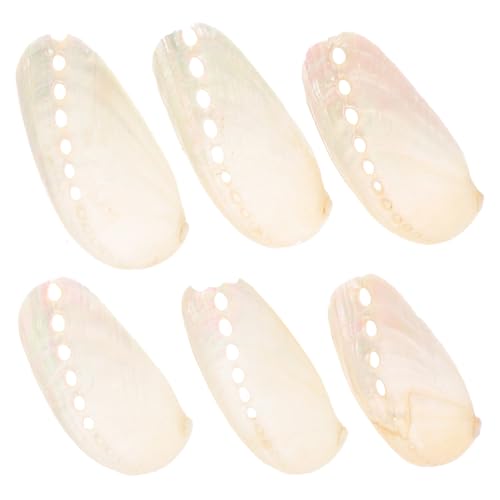 HEALSOPTHY 6 Stück Teiliges Abalone Muschel Perlmutt Dekoration Strandhochzeit Handwerksornament Aquarium Meeresschalen für Zuhause und Party HEALSOPTHY 6 Stück Teiliges Abalone Muschel Perlmutt Dekoration Strandhochzeit Handwerksornament Aquarium Meeresschalen für Zuhause und Party von HEALSOPTHY