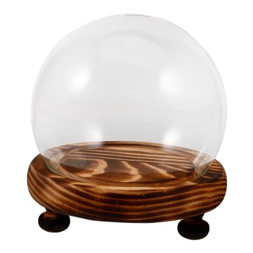 HEALSOPTHY Glasglocke mit Holzsockel Transparente Cloche Glasvitrine Dekorative Glaskuppel Staubschutz für Blumendekor und Kleine Ausstellungsstücke HEALSOPTHY Glasglocke mit Holzsockel Transparente Cloche Glasvitrine Dekorative Glaskuppel Staubschutz für Blumendekor und Kleine Ausstellungsstücke von HEALSOPTHY