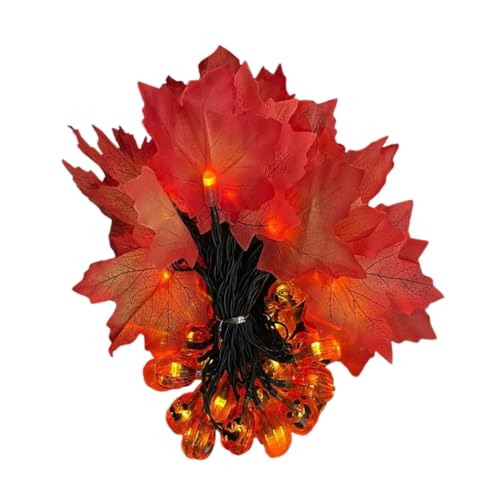 HEALSOPTHY Solarbetriebene Halloween Lichterkette mit LED Kürbis und Ahornblatt Motiv für Garten und Außenbereich Kreative Party und Festdeko Langlebig und Einfach Anzubringen HEALSOPTHY Solarbetriebene Halloween Lichterkette mit LED Kürbis und Ahornblatt Motiv für Garten und Außenbereich Kreative Party und Festdeko Langlebig und Einfach Anzubringen von HEALSOPTHY