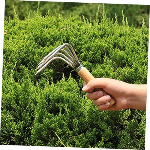 HEALSOPTHY Strapazierfähiger Edelstahl strandrechen mit Zinken Handliches Grabewerkzeug für Muschelsuche Sandgraben und Gartenarbeit Wetterfester Holzgriff zum Lockern und Jäten von Erde HEALSOPTHY Strapazierfähiger Edelstahl strandrechen mit Zinken Handliches Grabewerkzeug für Muschelsuche Sandgraben und Gartenarbeit Wetterfester Holzgriff zum Lockern und Jäten von Erde von HEALSOPTHY