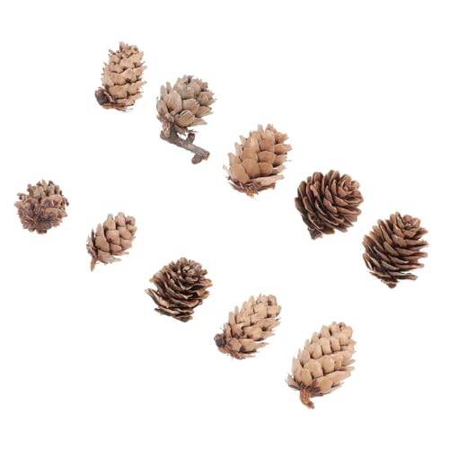HEATSHAKING 100 Stück Natürliche Kiefernzapfen Dekoration Getrocknete Kiefernzapfen für Weihnachten DIY Projekte Fotografie und Hochzeiten für Kreative Bastelarbeiten von HEATSHAKING