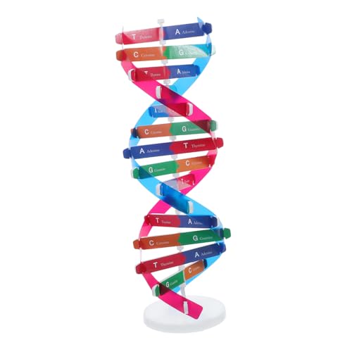 HEATSHAKING Helix Gen Modell Molekülmodell Kit Dna Ohrringe Molekülmodelle Molekülstrukturmodell Doppelhelix Dna Kit Dna Testkit Dna Wissenschaftsdekor Dna Testkit Abs HEATSHAKING Helix Gen Modell Molekülmodell Kit Dna Ohrringe Molekülmodelle Molekülstrukturmodell Doppelhelix Dna Kit Dna Testkit Dna Wissenschaftsdekor Dna Testkit Abs von HEATSHAKING