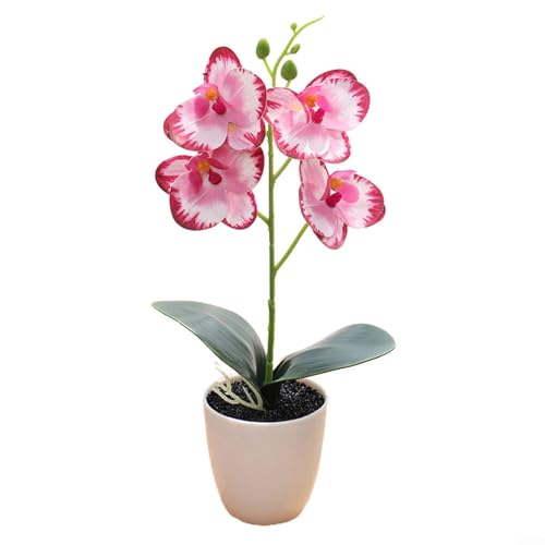 Kunstblumen-Arrangement von Orchideen in stilvollen Töpfen, um das Aussehen eines jeden Raumes oder jeder Veranstaltung mühelos zu verbessern (E) von HEBEOT