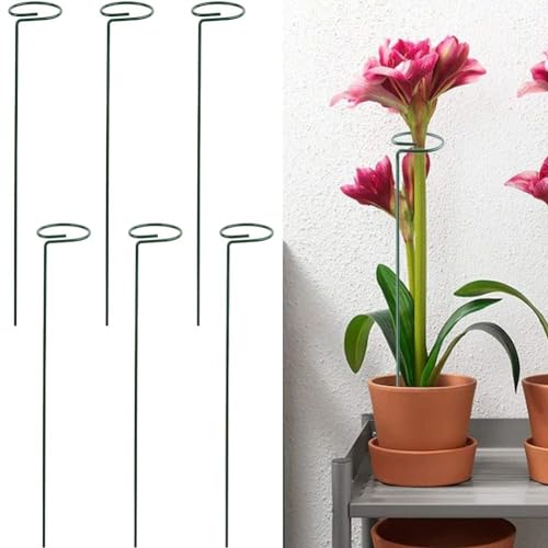 Metall-Pflanzstäbe für Kletterpflanzen Amaryllis, Orchideen, Tomaten, 6 Stück (45 cm) von HEBEOT