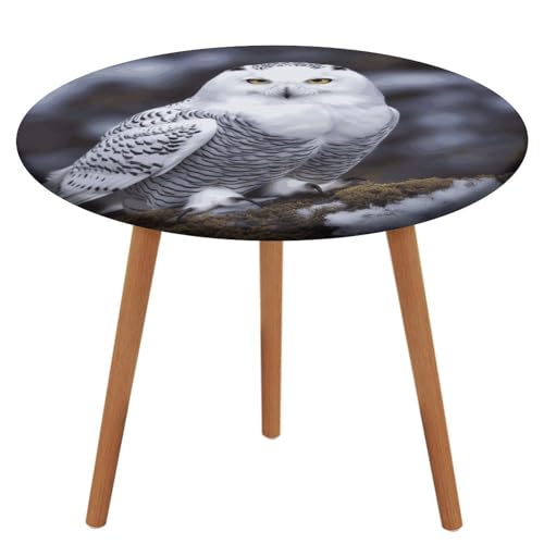 HEBVNJF Runde Tischdecke mit elastischem Rand, dehnbar, arktische Eule, wasserdicht, Picknicktischabdeckung für runden Tisch, Esszimmer von HEBVNJF