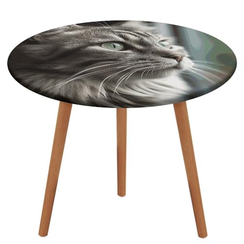 HEBVNJF Runde Tischdecke mit elastischem Rand, dehnbar, graue Katze mit grünen Augen, wasserdichte Picknicktischabdeckung für runde Tische, Esszimmer HEBVNJF Runde Tischdecke mit elastischem Rand, dehnbar, graue Katze mit grünen Augen, wasserdichte Picknicktischabdeckung für runde Tische, Esszimmer von HEBVNJF