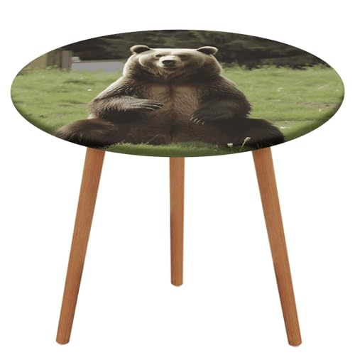 Runde Tischdecke mit elastischem Rand, Stretch, Hi-Bär, sitzt auf dem Rasen, wasserdichte Picknick-Tischabdeckung für runde Tische, Esszimmer von HEBVNJF